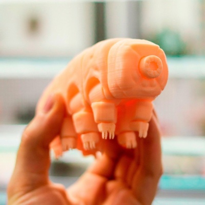 articulated tardigrade by mireplica3d toys & games 3d print model - Mito3D