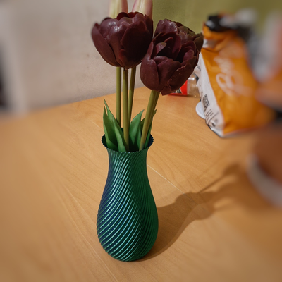 espiral vaso by morte casa decoração flor 3d print model - Mito3D