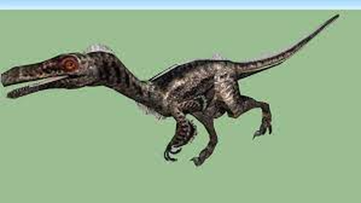 vélociraptor dinosaure by 49prodino art sculptures préhistorique modèle 3d print model - Mito3D