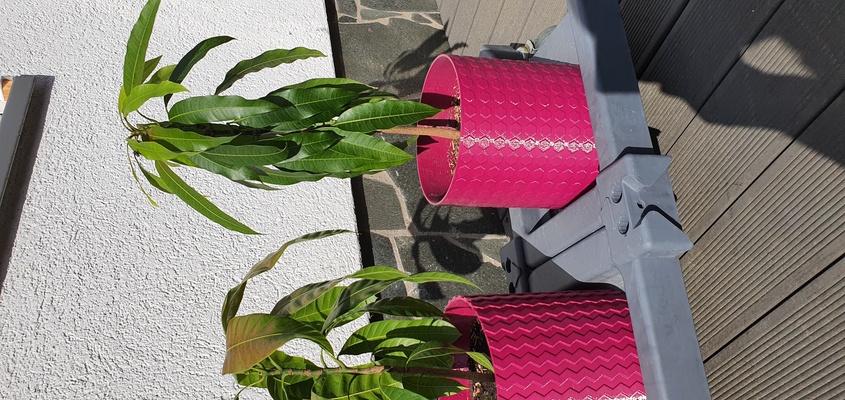 mango planter hexagons by yahbluez household garden hexagonal pot hex petg 3d print model - Mito3D
