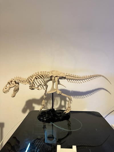 t-rex skeleton fixed remixed by eskalibure miniatures animals 3d print model - Mito3D