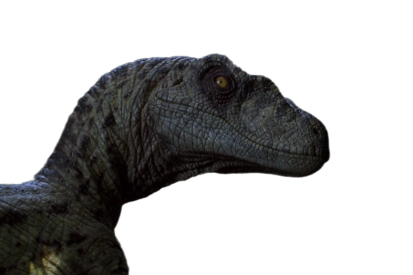 velociraptor jurassic park şapka dövmesi by sitero sanat 2d raptor dinozor renkli duvar dünya dino 3D print model - Mito3D