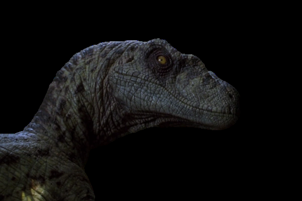 velociraptor jurassic park şapka dövmesi by sitero sanat 2d raptor dinozor renkli duvar dünya dino 3d print model - Mito3D