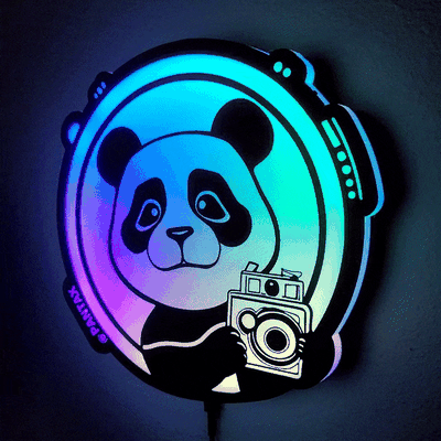 pantax kamera pandalar by revhazlett sanat işaretler logolar panda pentax ışık kutu hafif kutu 3d print model - Mito3D