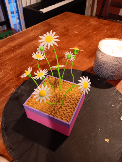 migliorato gioielleria fiore box all parti piatti colori sintonizzato stampa profilo remixato by camron corporeo moda scatola ragazzi ragazze regalo fiori 3d print model - Mito3D