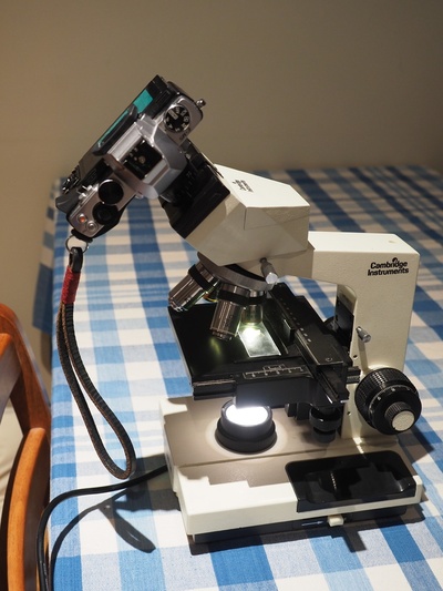 m4 3s to 23 2 mm microscópio adaptador by martin au educação biologia câmera thingiverse 3d print model - Mito3D
