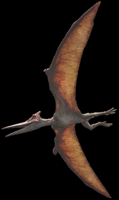 pteranodon jurásico parque 3 forja sombreros by sitsero arte 2d ptera dinosaurio mundo volador multicolor película 3d print model - Mito3D
