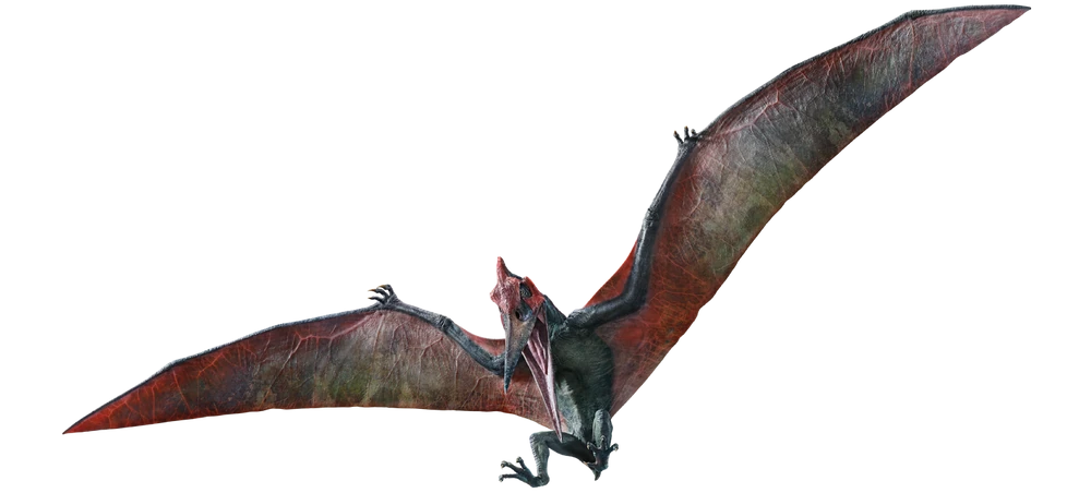 pteranodonte jurássico parque 3 iteração forja chapéus by sitsero arte 2d pterodáctilo ptera dinossauro mundo multicolorido muro vôo réptil pássaro 3D print model - Mito3D