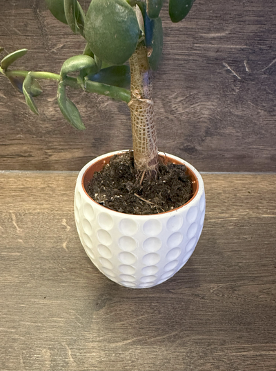 plant pot retro by tobystoe household decor plantpot decorative 3d print model - Mito3D