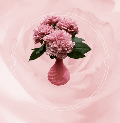 vase flower by marcelcountry generative 3d model my vaseflowers pink spiral mode vaso fiori generator 3d print model - Mito3D