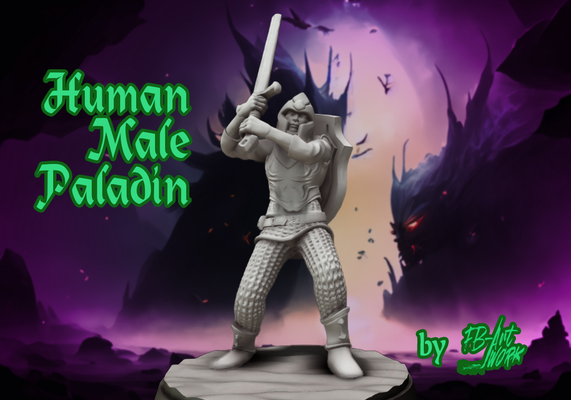 dnd miniature humain masculin paladin by fb artwork miniatures mini dndprop dndminiature épée 3d print model - Mito3D