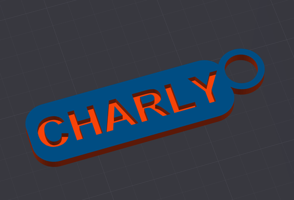 charly keychain by charlymatt59 household house models porte-clefs plate 3d print model - Mito3D