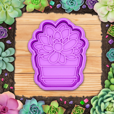 plant - echeveria cookie cutter stamp by indibles household house models christmas cookies clay exotic 3d print model - Mito3D