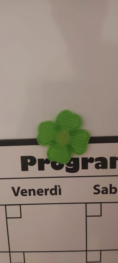 yonca yaprağı şekilli mıknatıs by anahtar insan ev halkı dekor 4leafclover 3d print model - Mito3D