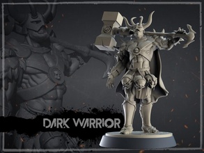 dark warrior games 3d print model - Mito3D