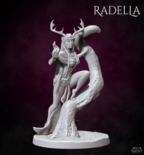 Radella 18+ 3d print model - Mito3D