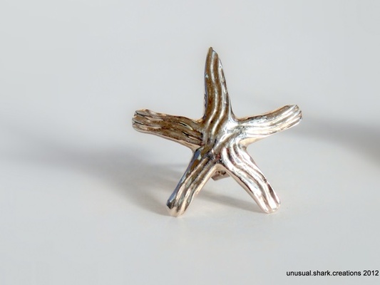 groovy starfish earrings earring ocean sea silver star jewelry 3d print model - Mito3D