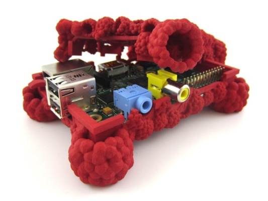 raspberries case raspberry pi gadgets 3d print model - Mito3D