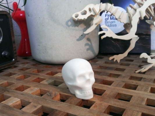 small skull bone death halloween head macouno skeleton scale models educational 3d print model - Mito3D