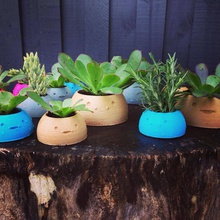 happy planters- large pinshape 3d-printing-kids-toys-design-challenge succulent succulents plants pots green 3d print model - Mito3D