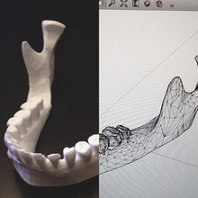 jaw pinshape stand skull ipad anatomy 3d print model - Mito3D