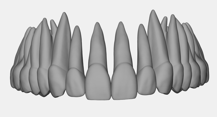 azul superior mandíbula dental anatomia raízes alfinete dente 3d print model - Mito3D