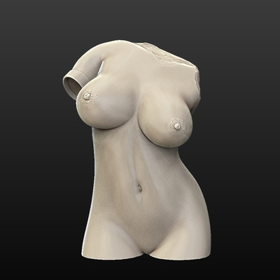 mujer torso forma alfiler 3d print model - Mito3D