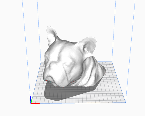 fransızca bulldog büst iğne şekli 3d print model - Mito3D
