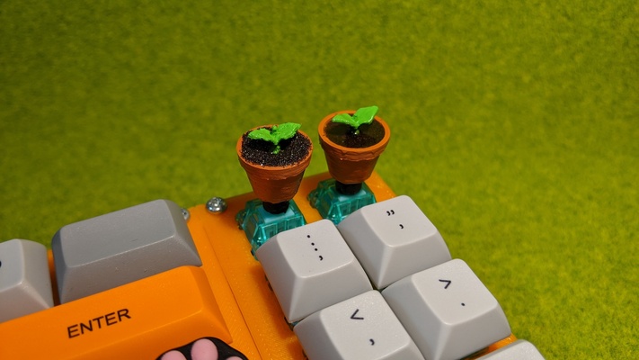 seed leaves pinshape keycap 3d print model - Mito3D