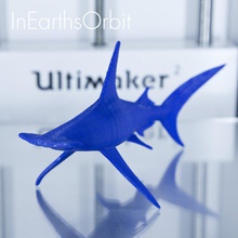 orgánica tiburón martillo pinshape ballena vida mar escultura cabeza pescado animal anatomía 3d print model - Mito3D