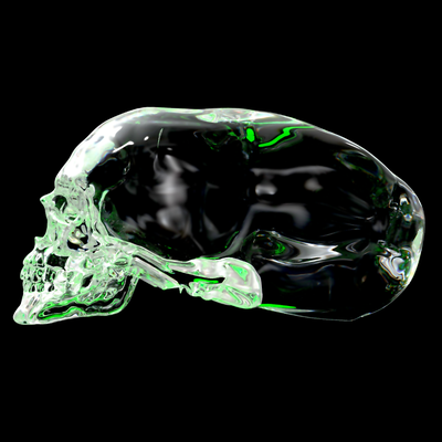elongated skull pinshape 3d print model - Mito3D