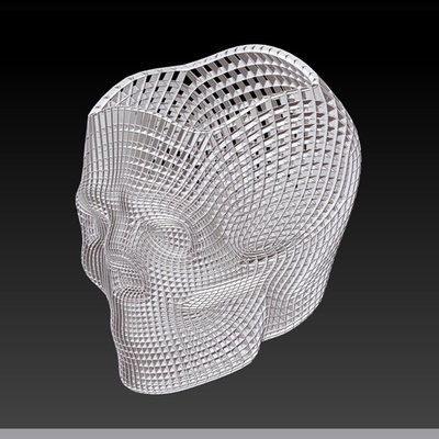 cráneo estudiar 1 forma alfiler 3d print model - Mito3D
