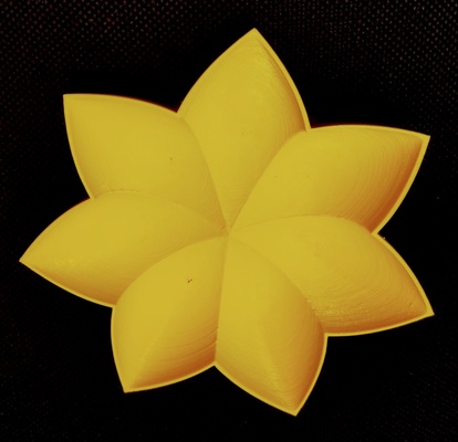 petals2 pinshape plate 3d print model - Mito3D