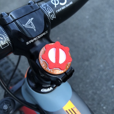 gabelschaft tube lager pinshape fahrrad montieren 3d print model - Mito3D
