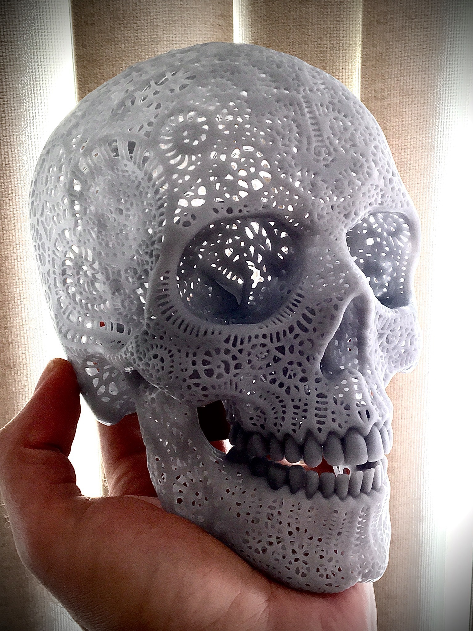 filigrana anatomico cranio forma spillo 3D print model - Mito3D
