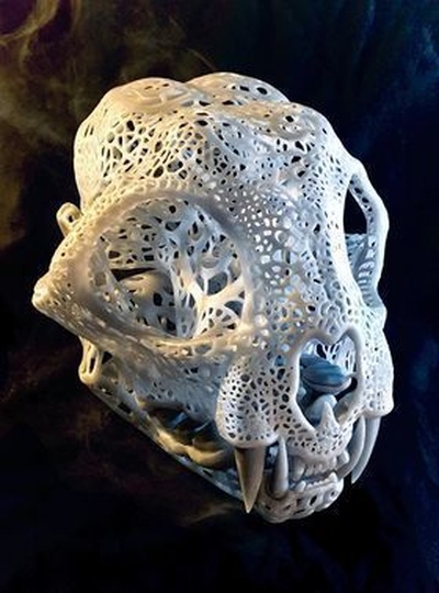 filigrana anatômico lince crânio alfinete 3d print model - Mito3D
