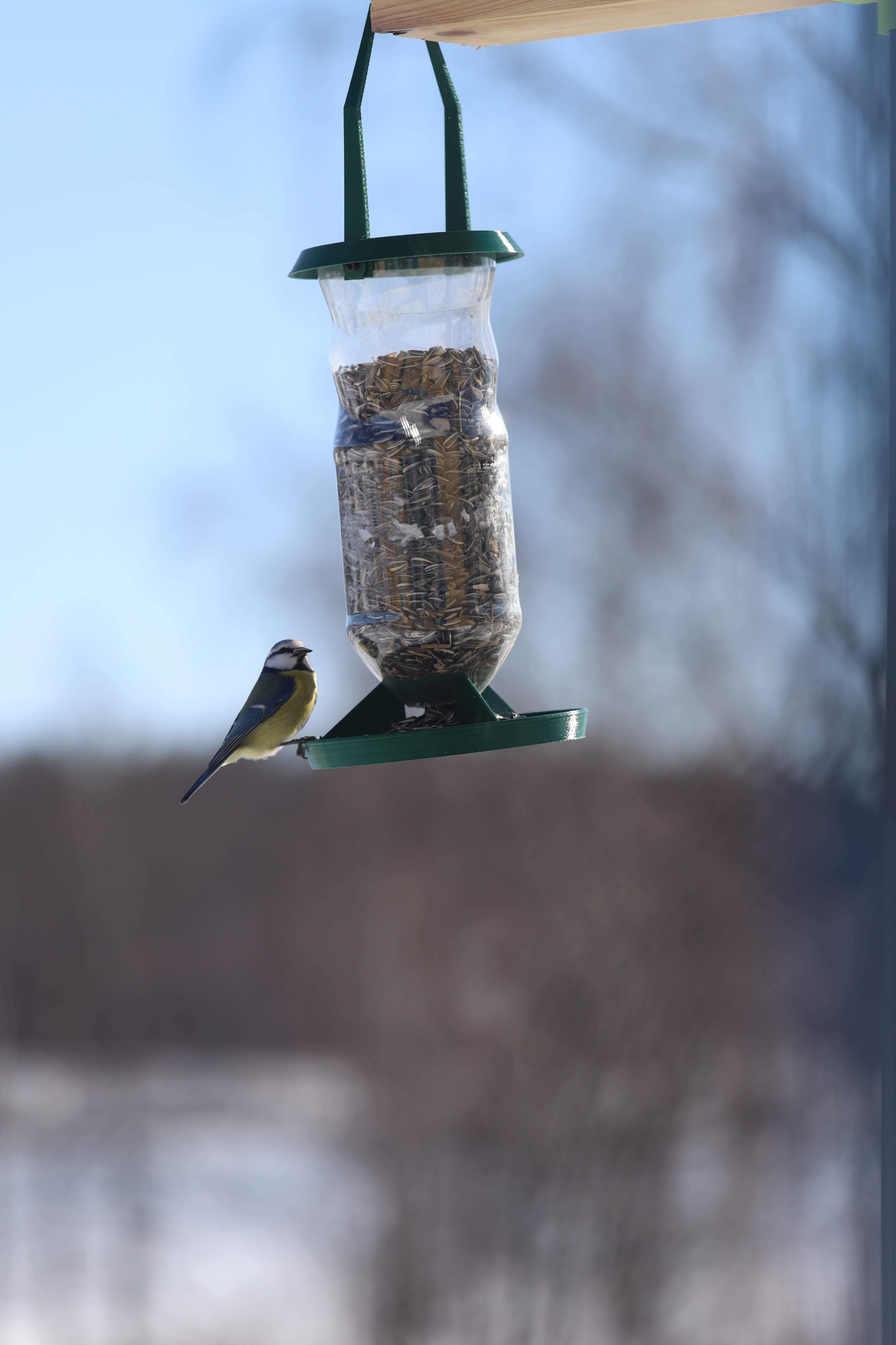 kuş besleyici iğne şekli bird feeders 3D print model - Mito3D