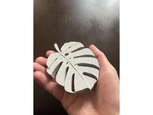 monstera foglia sapone piatto forma spillo detersivo per i piatti 3d print model - Mito3D