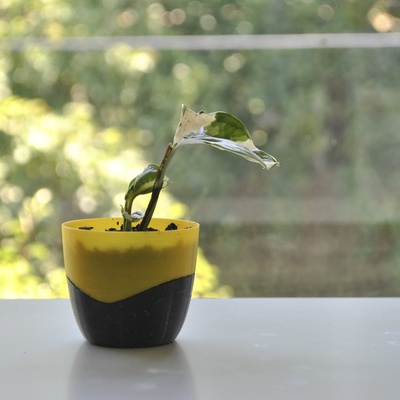 mini fioriera forma spillo 3d print model - Mito3D