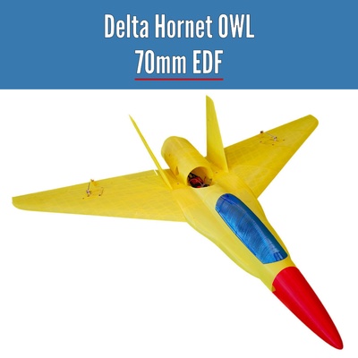 delta hornet owl 70mm edf owlplane - test files pinshape wing 3d print model - Mito3D