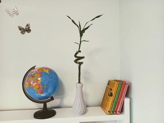 vase spiral theme pinshape vase-spiral 3d print model - Mito3D