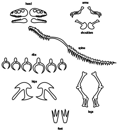tyrannosaure squelette forme d'épingle 3d imprimantes 3d print model - Mito3D