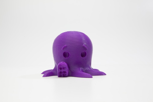 octopus pinshape 3d print model - Mito3D