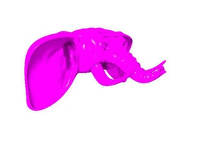 elefante pinshape fantasía art arte moda 3d print model - Mito3D