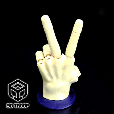 hand flex pinshape link 3d print model - Mito3D