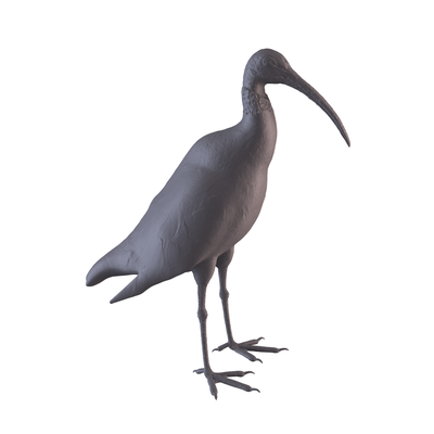 ibis forma spillo 3d print model - Mito3D
