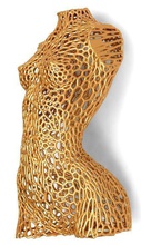 corpo feminino estilo voronoi versão 3 pinshape 3d print model - Mito3D