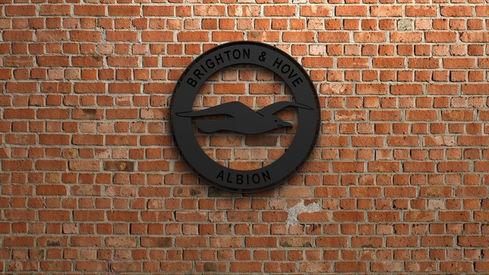 brighton hove albion fc logo forma spillo obbiettivo 3d print model - Mito3D