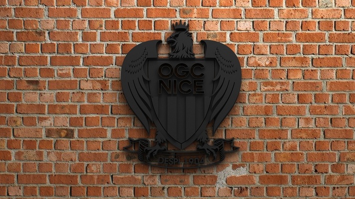ogc nice logo pinshape goal 3d print model - Mito3D