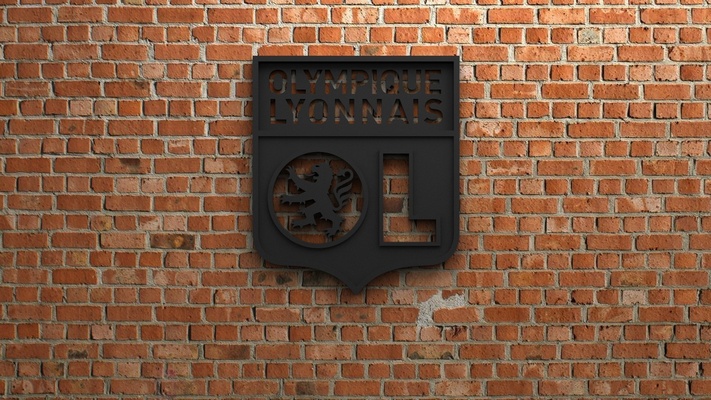olympique lyonnais logo pinshape goal 3d print model - Mito3D